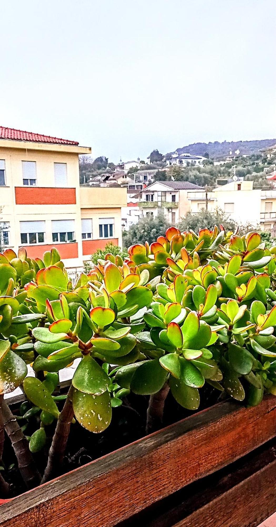 Big Mama Jungle Rooms Terracina Exteriör bild